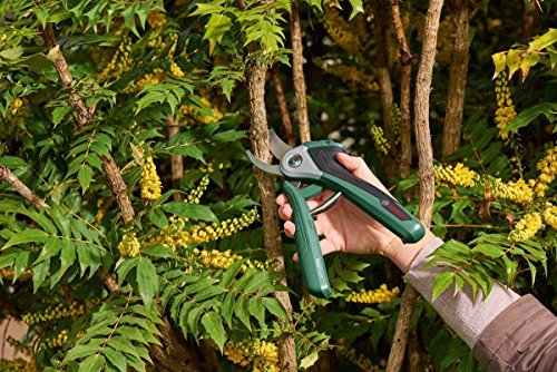 CESOIA A BATTERIA AL LITIO DA 3,6 V - BOSCH 06008B2000 3