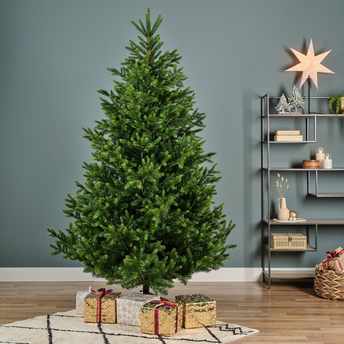 Albero di Natale Nordmann Fir Verde 5