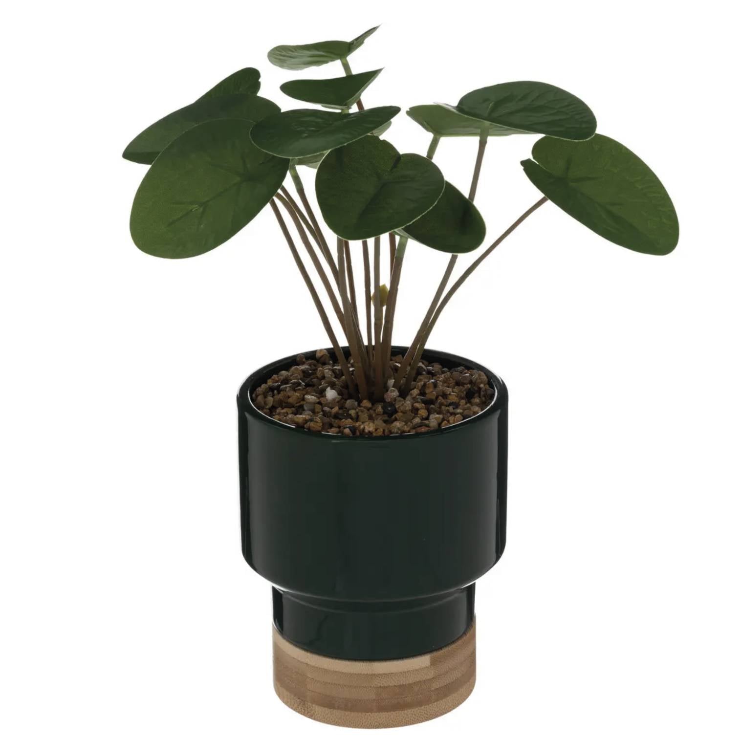 Pianta artificiale "the collector" in ceramica e bamb√π h 26 cm