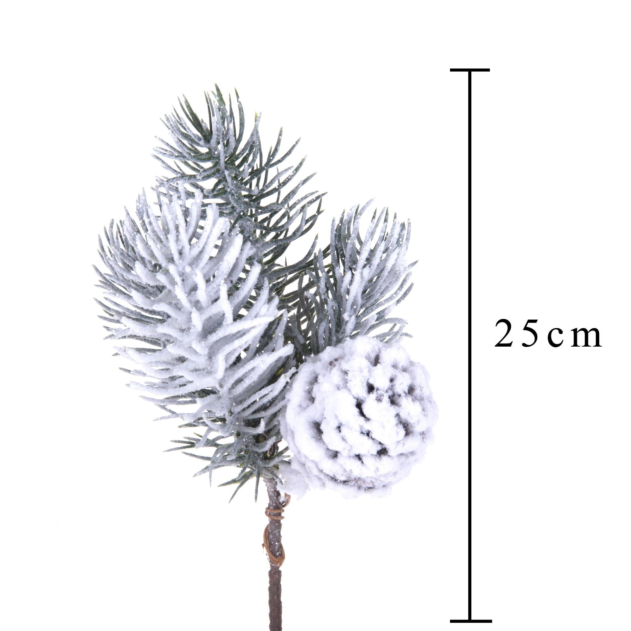 Ramo pino noble innevato 5