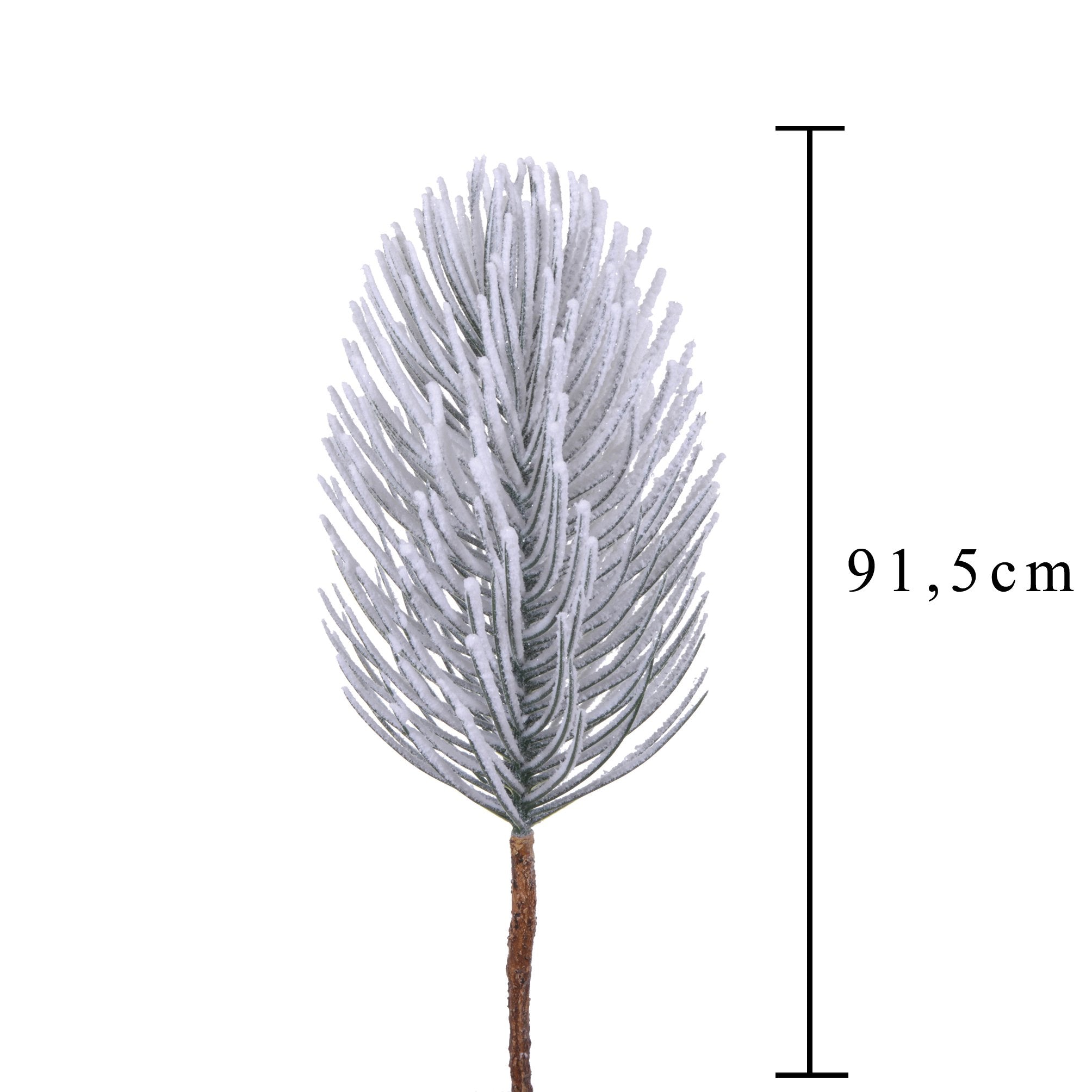 Pino ramo con neve 4