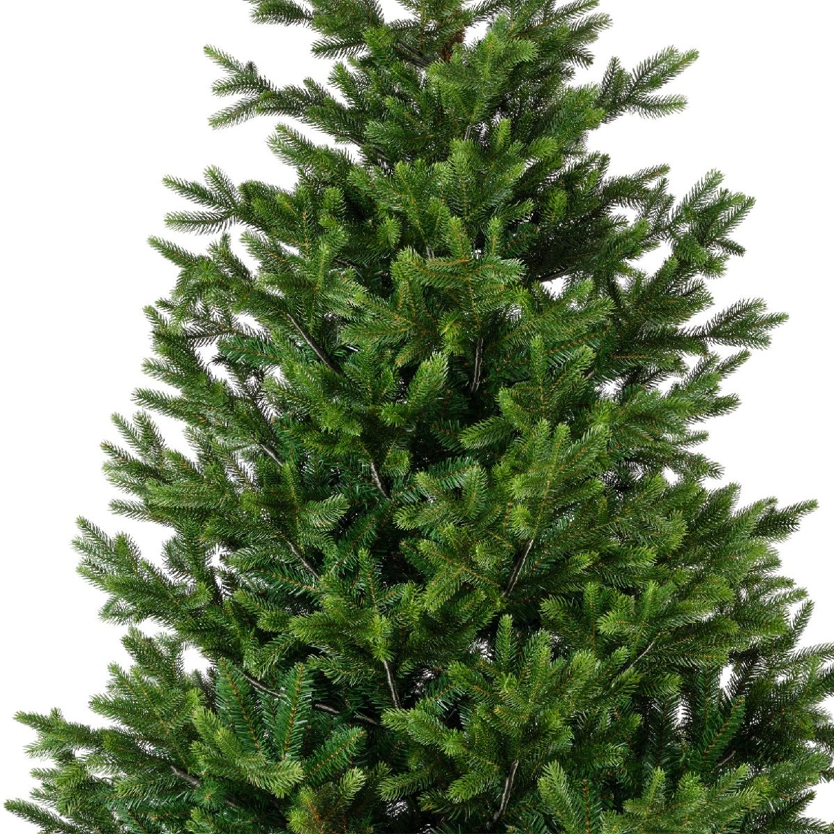 Albero di Natale Nordmann Fir Verde 3