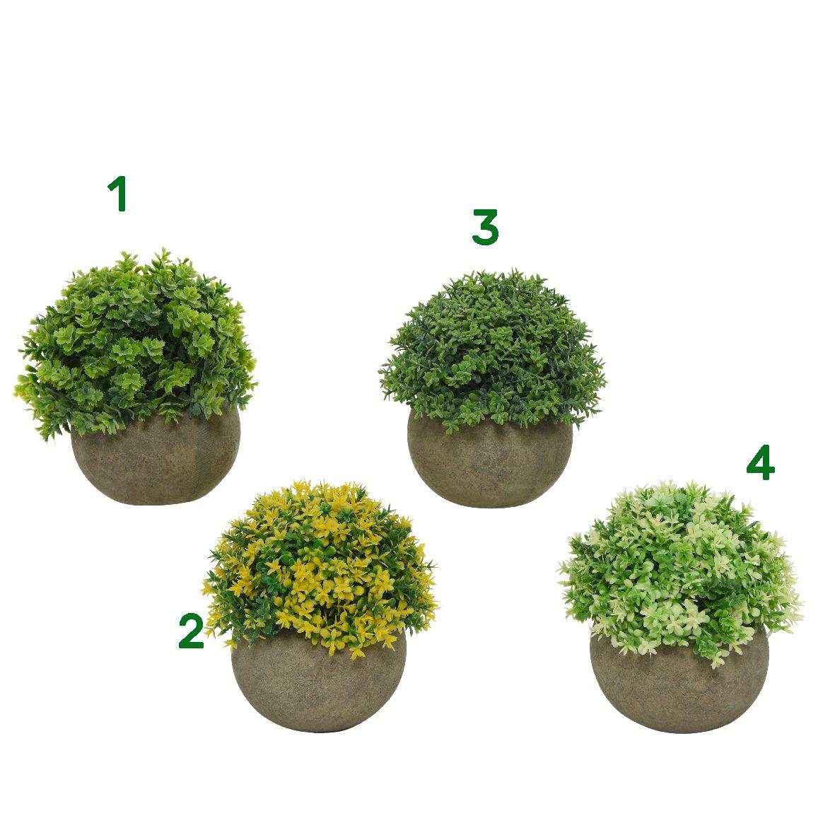 Pianta verde 12x13 cm