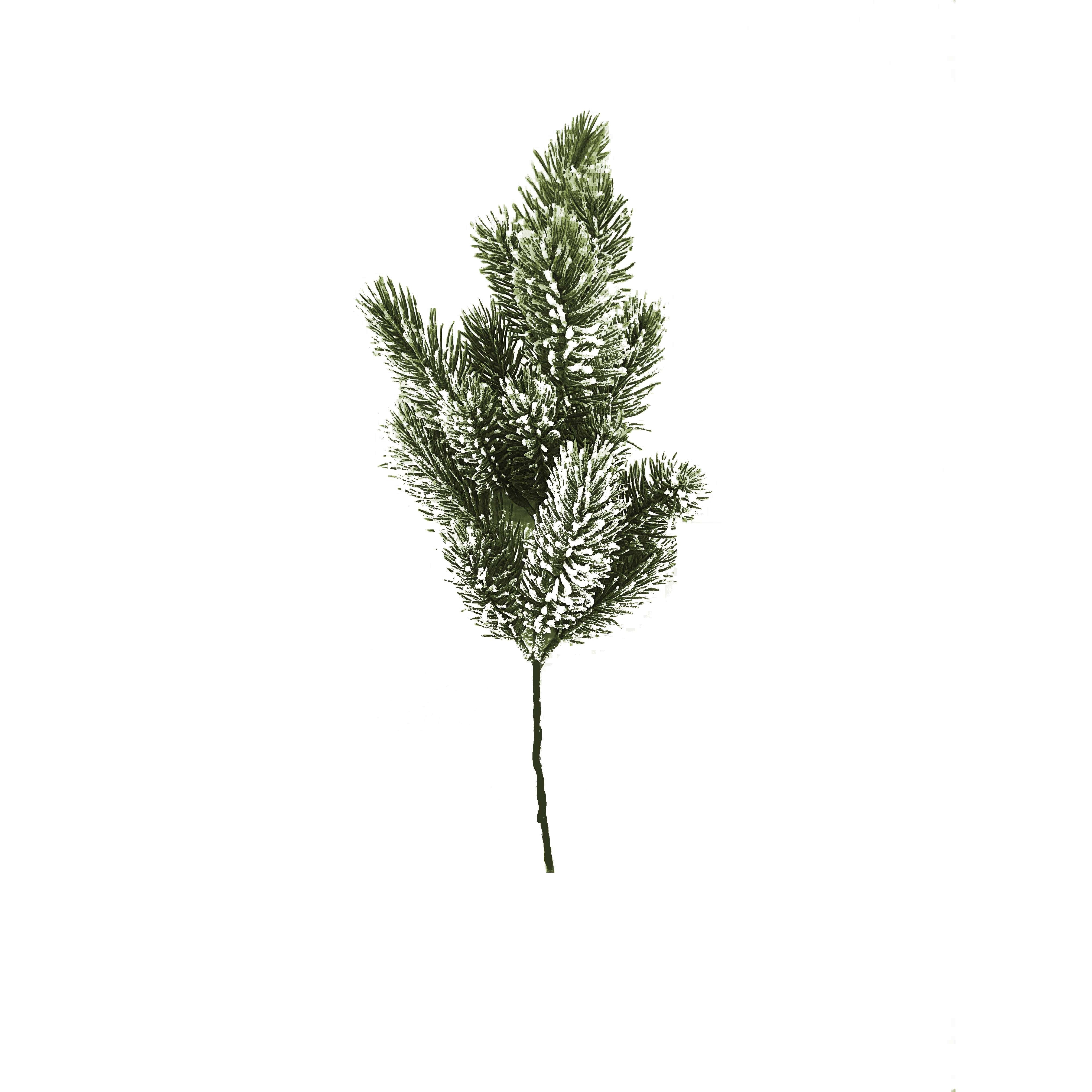 Tralcio pino innevato 15 cm