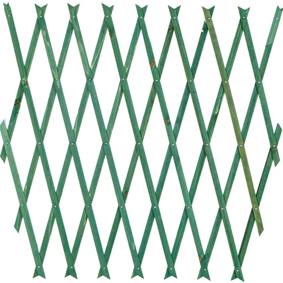 Traliccio in legno verde estensibile