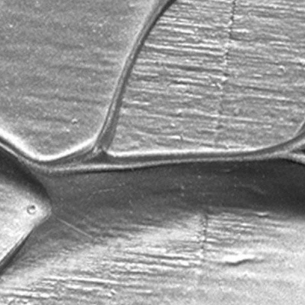 PASTA METALLO ARGENTO 130 ML