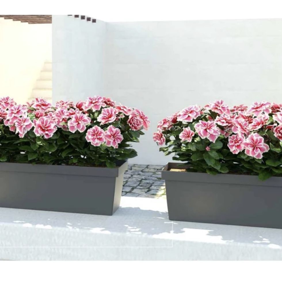 Balconetta Colorado 50 cm