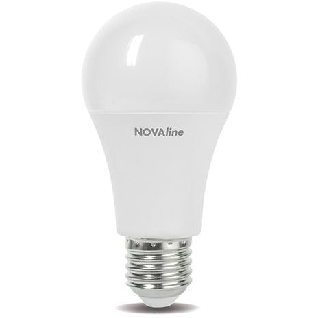 Lampadina Goccia LED 21W E27