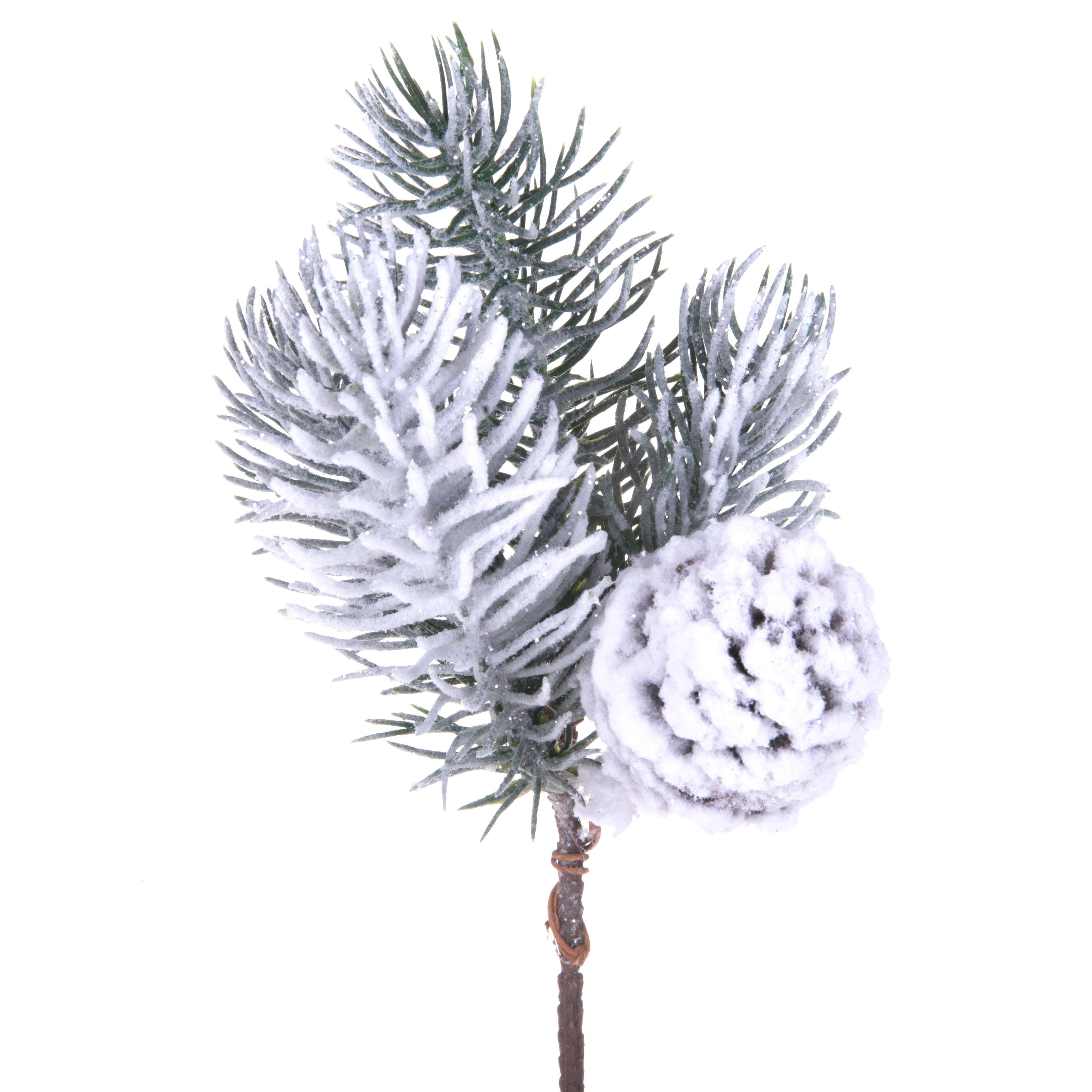 Ramo pino noble innevato 4