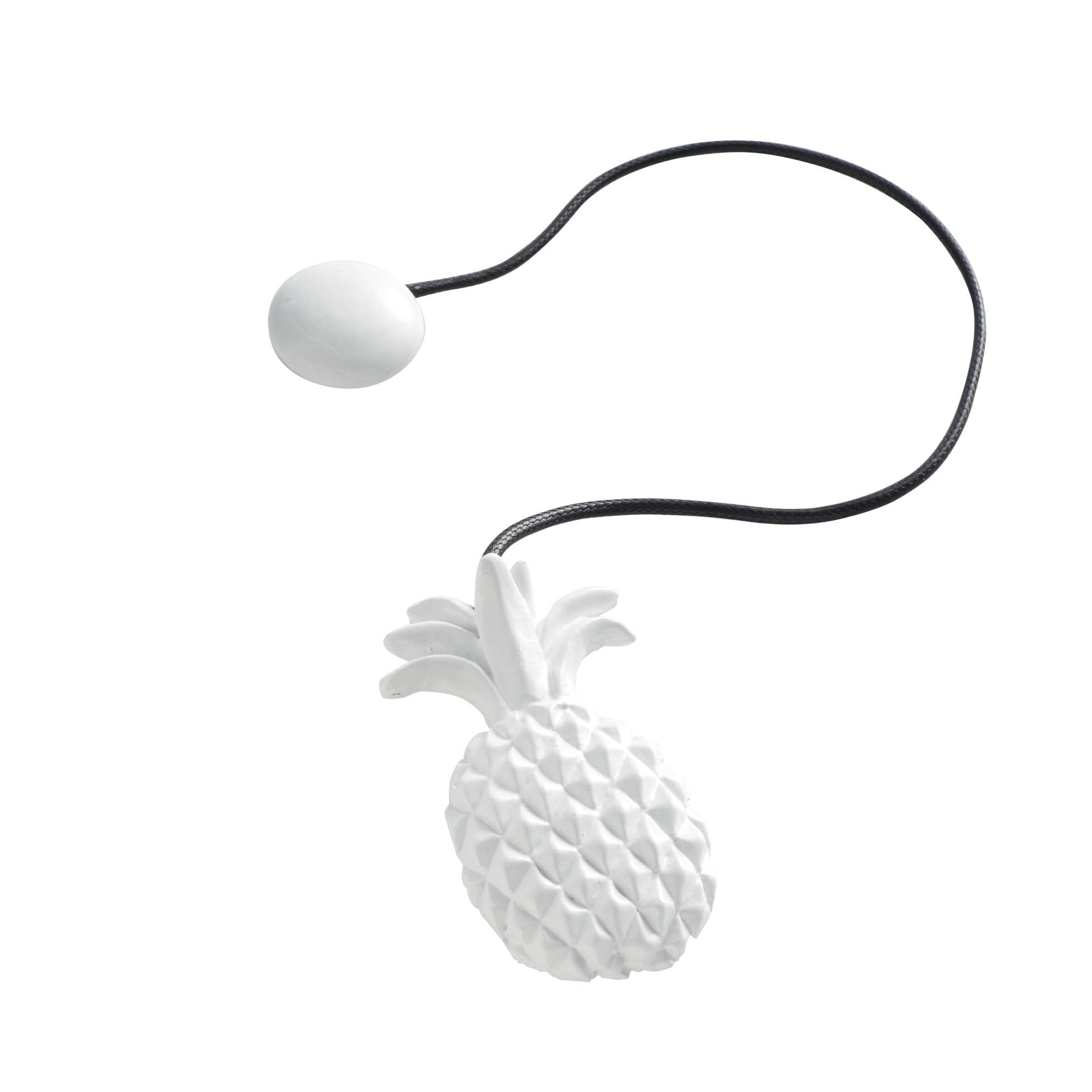 Calamita fermatenda Lewis