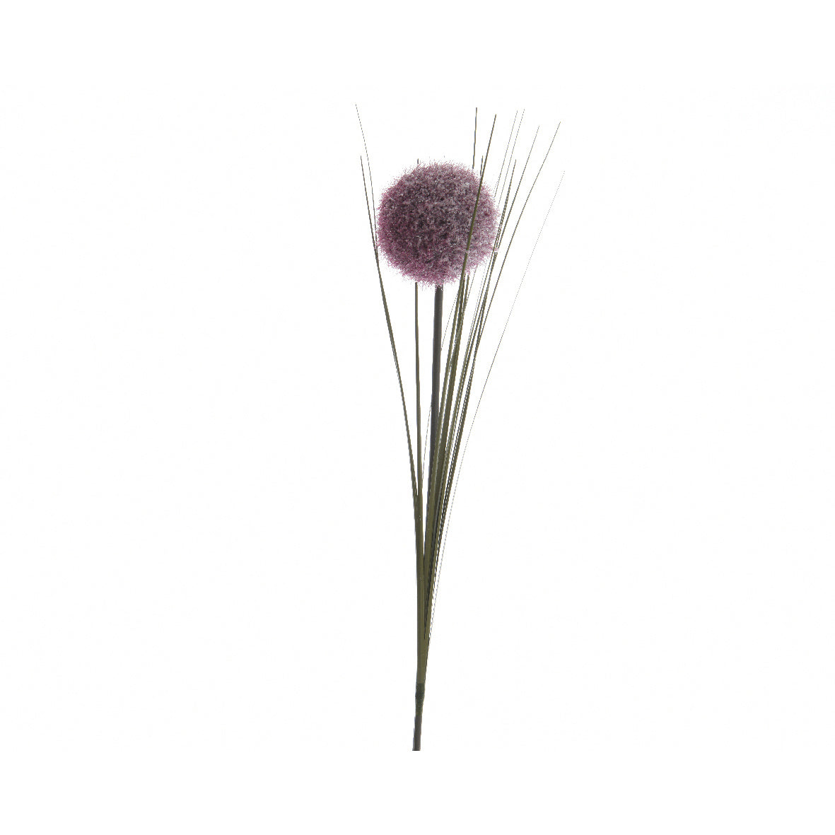 Fiore Allium 66 cm