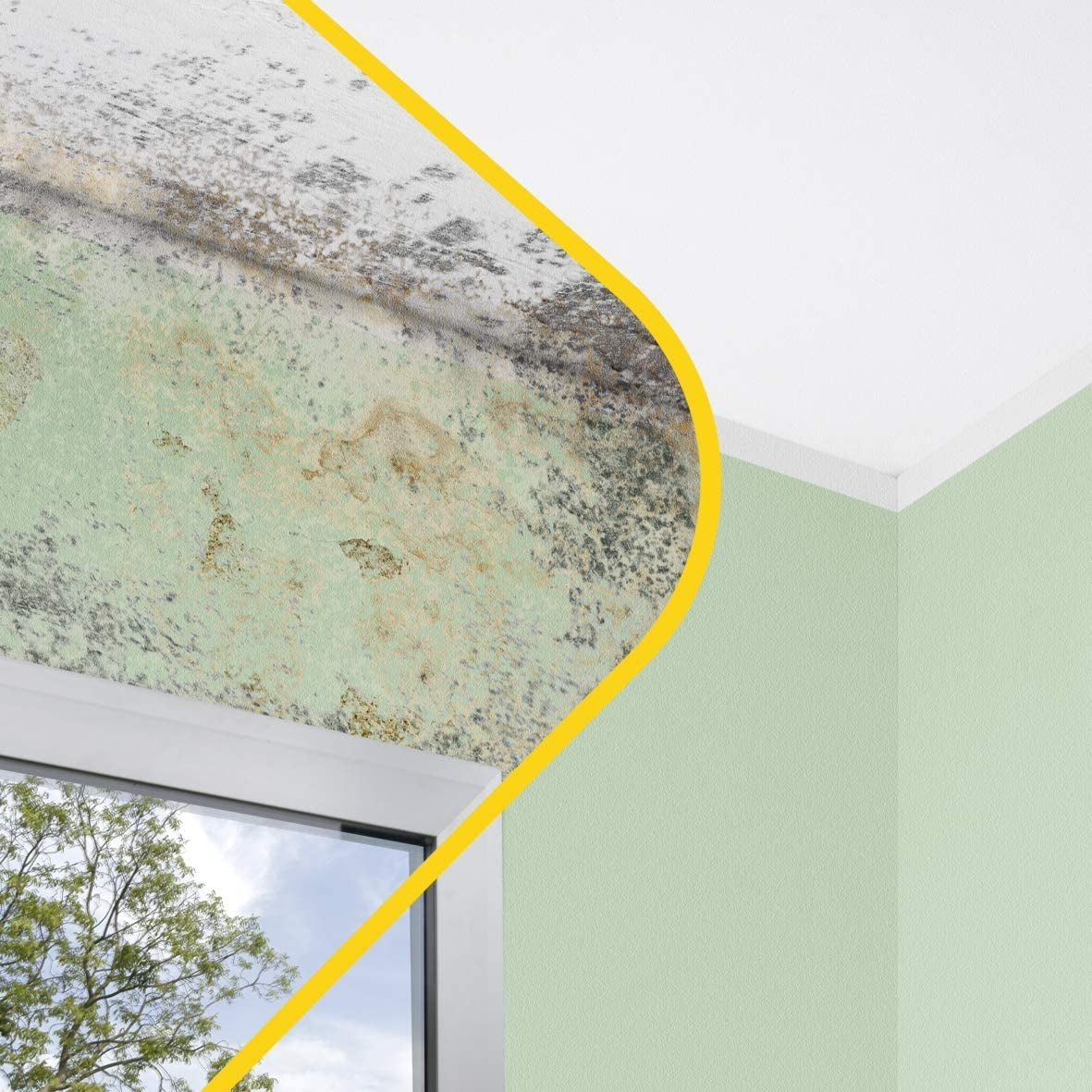 Active 1 FILA elimina muffa spray 500 ml 3