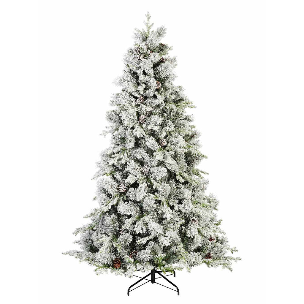 Albero Innevato Lausanne