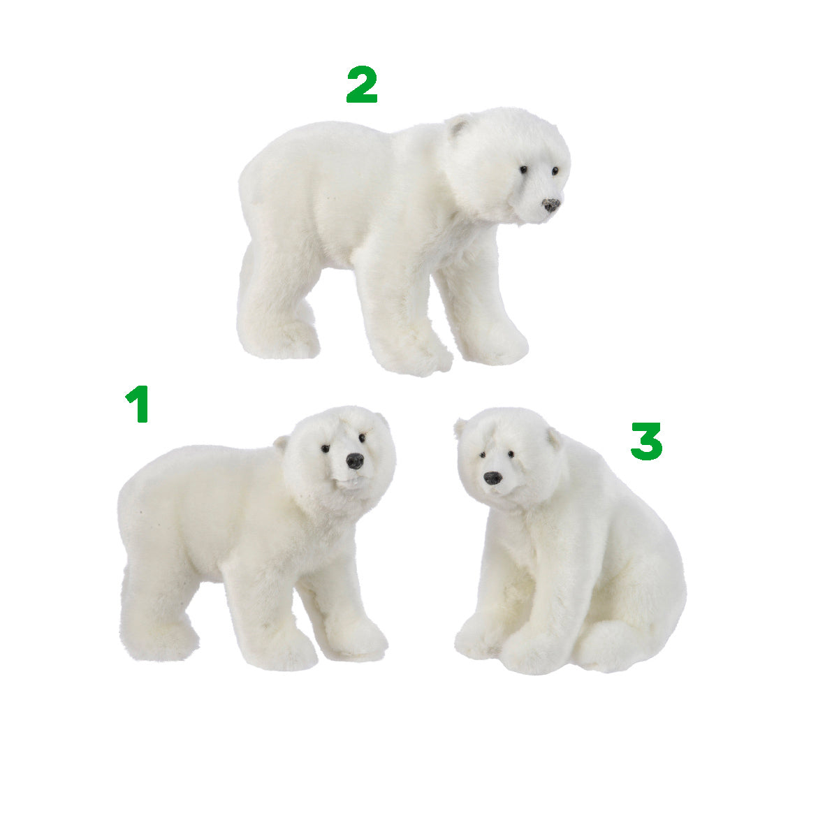 Orso polare varie pose