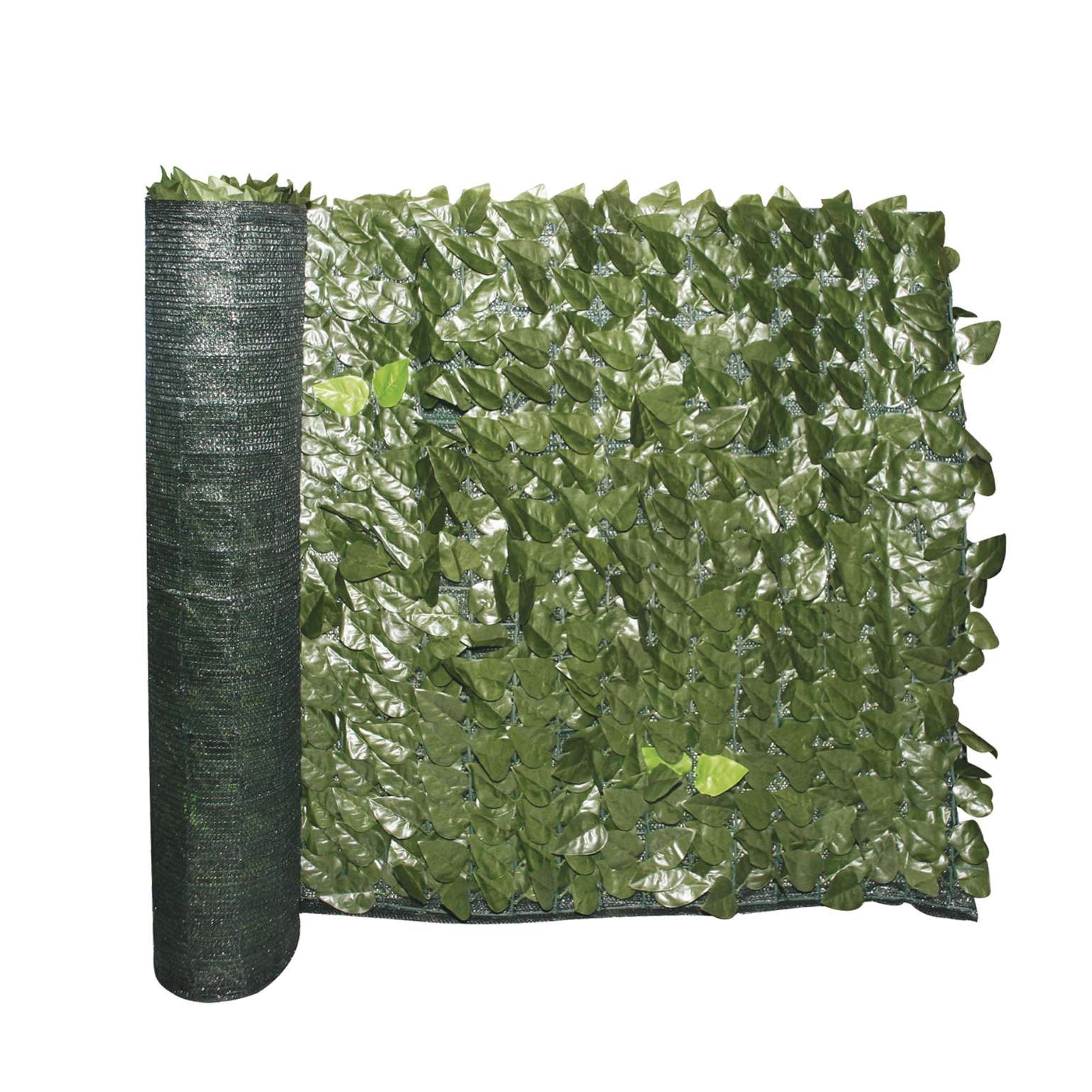 Siepe Evergreen Lauro 1x3 mt