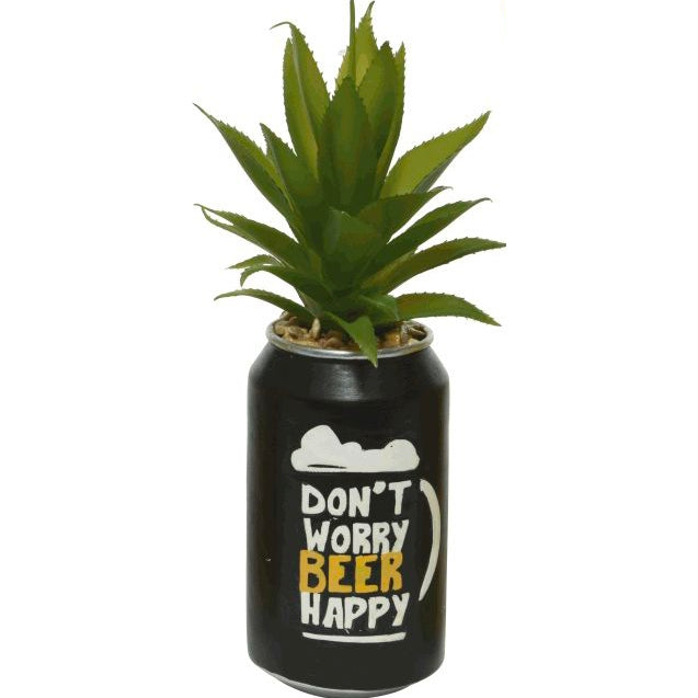 Pianta grassa DWBH nero