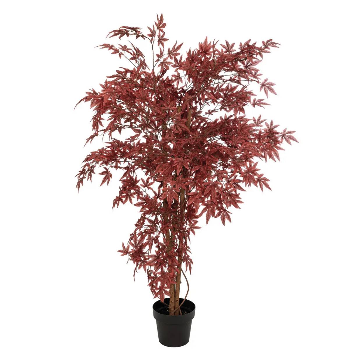 Acero artificiale rosso james vaso nero h150cm
