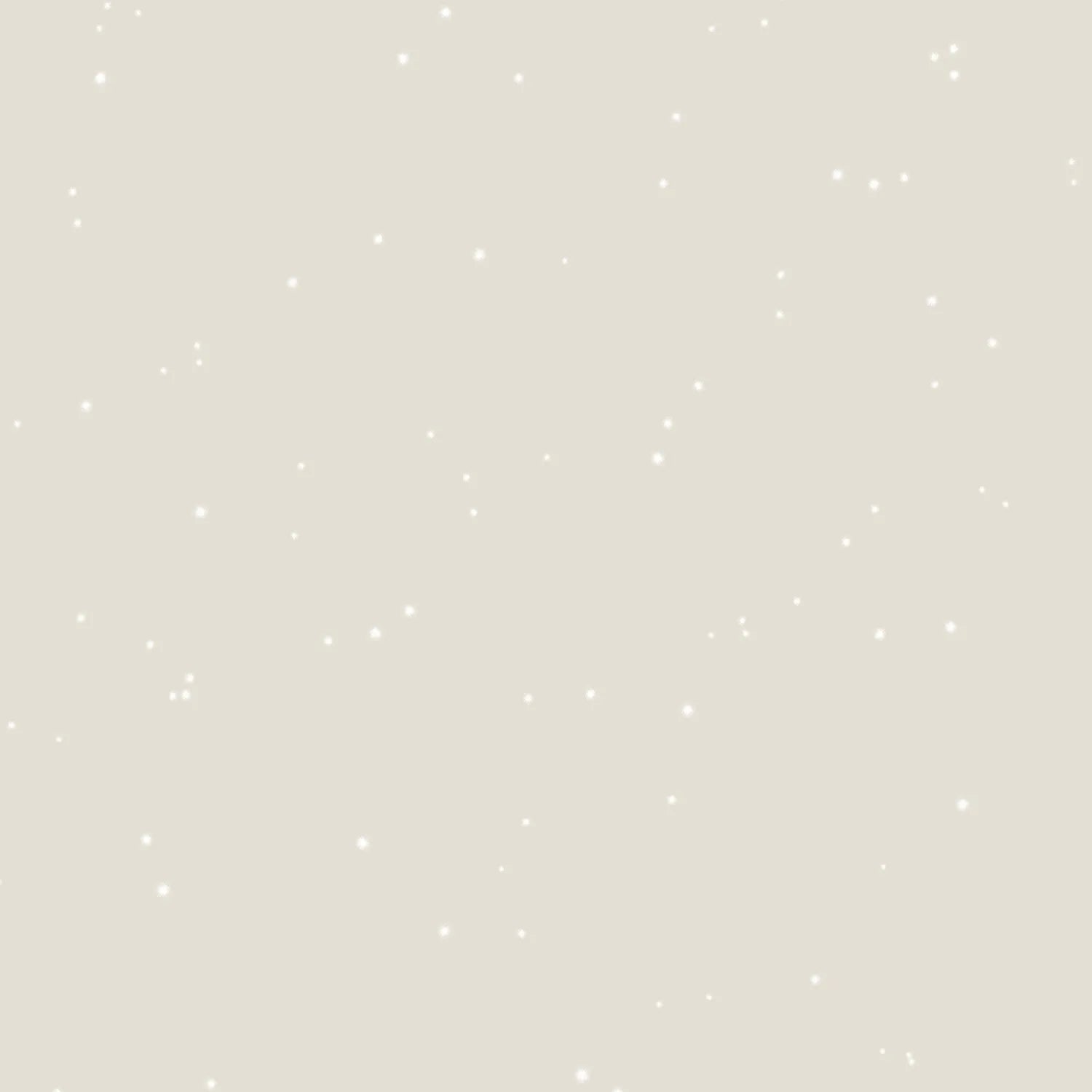 Idropittura Paillet 2 litri