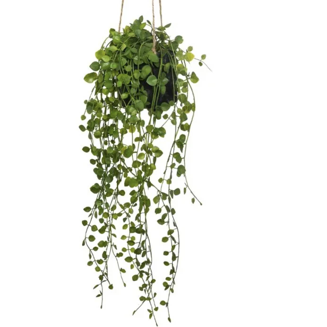 Pianta artificiale sospesa "Living" con vaso