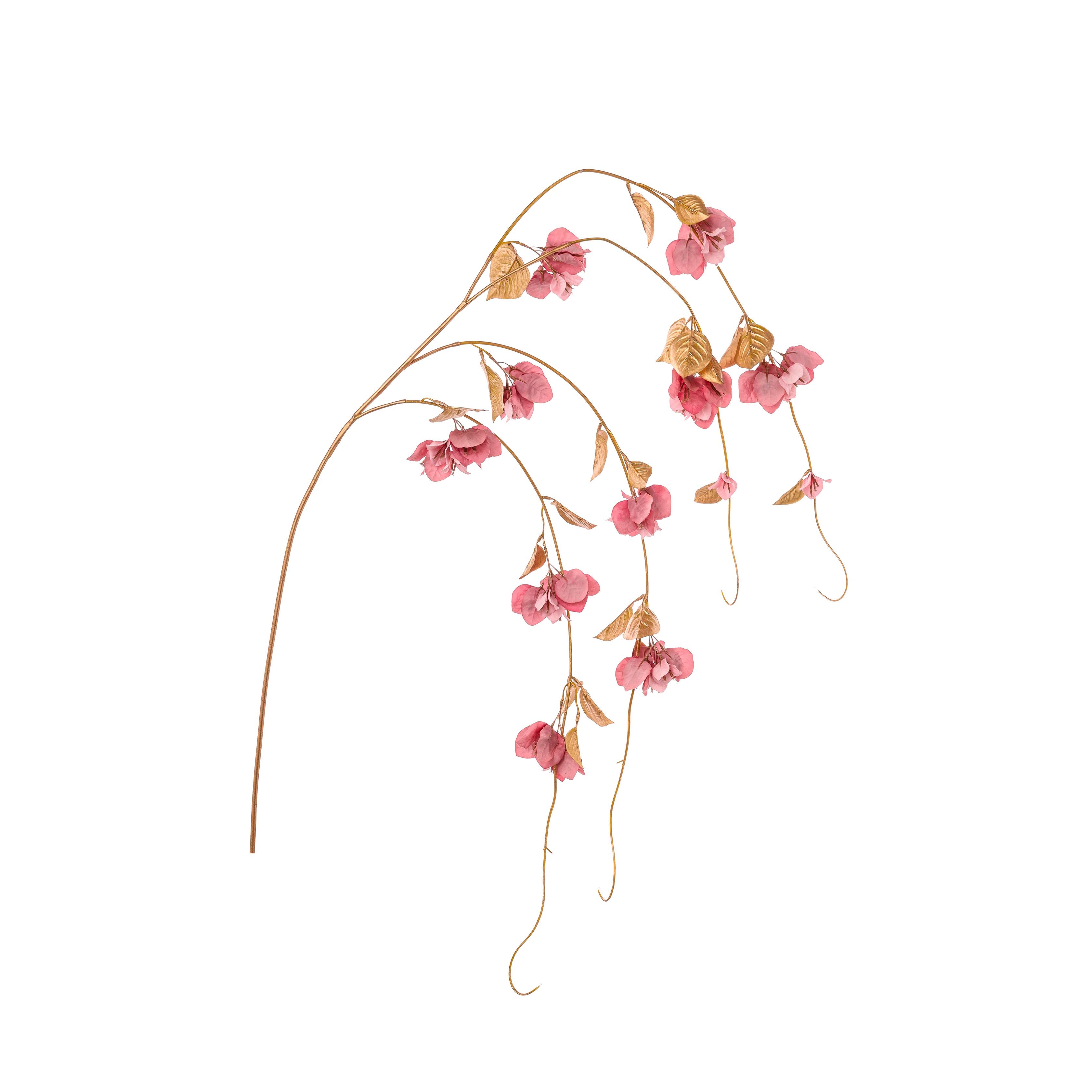 Tralcio Bouganville natalizio