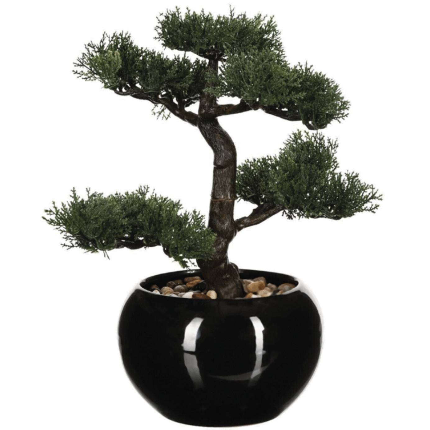 Bonsai con vaso in ceramica ‚Äì H36 cm