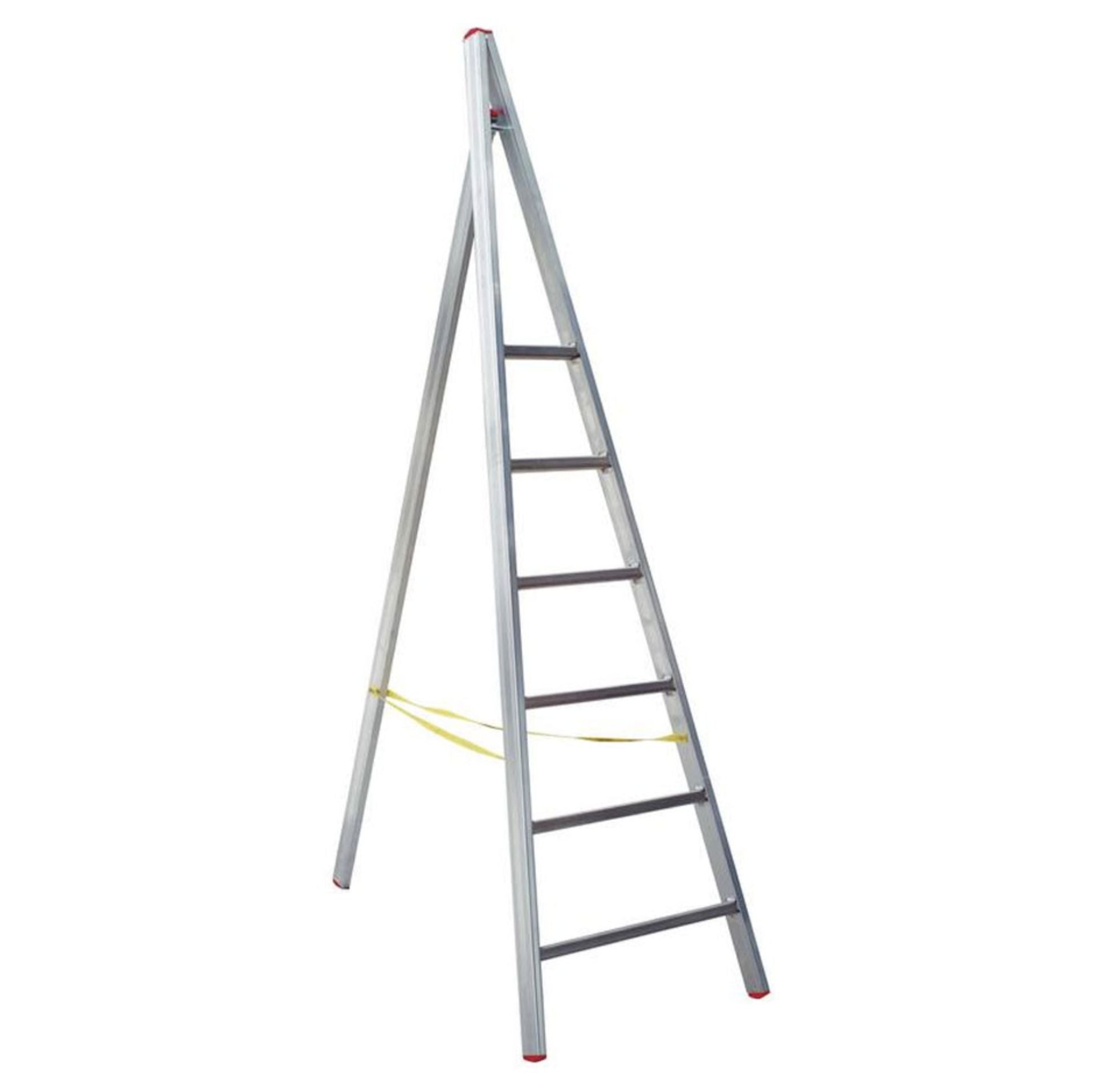 Scala Agricola 8 Gradini in alluminio