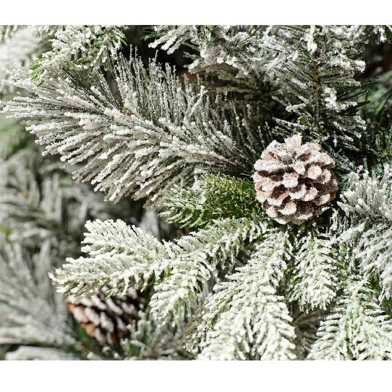 Albero Innevato Lausanne