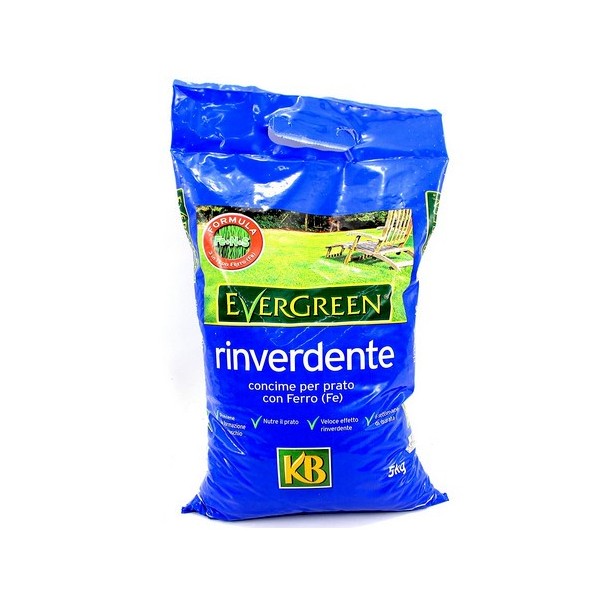Evergreen rinverdente 5KG
