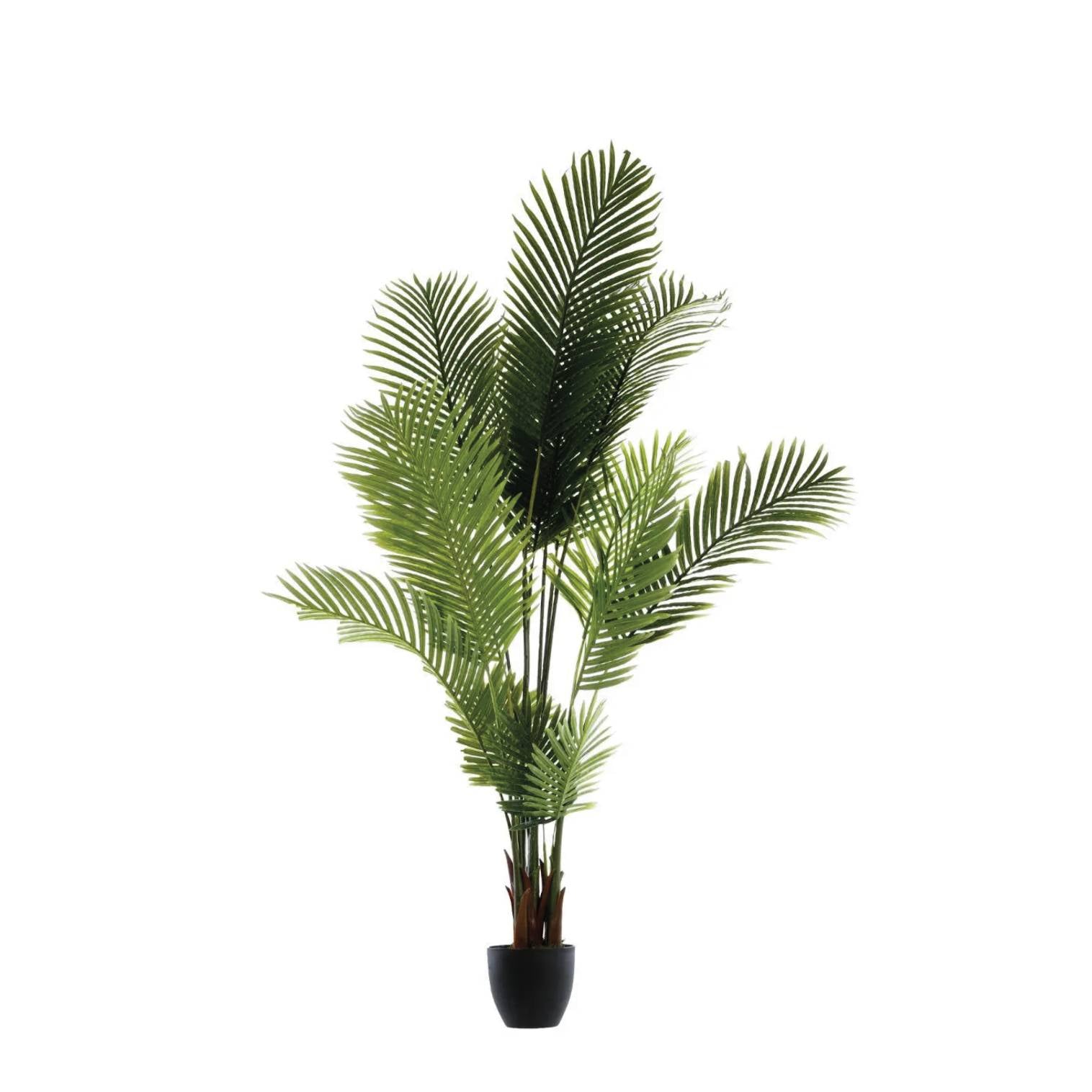 Palma Artificiale H170 cm con Vaso ‚Äì Tocco Verde Elegante