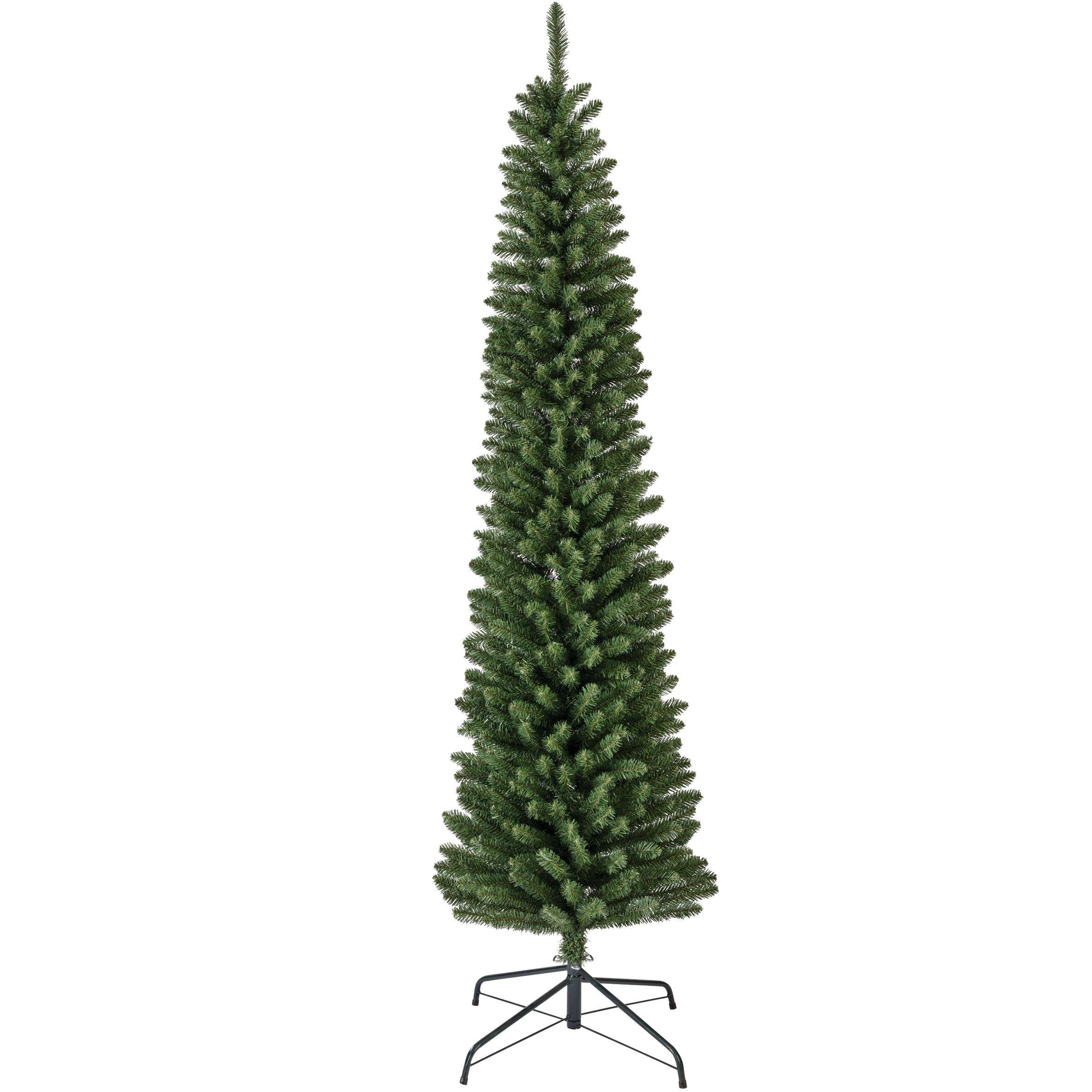 Albero Pencil Pine Verde