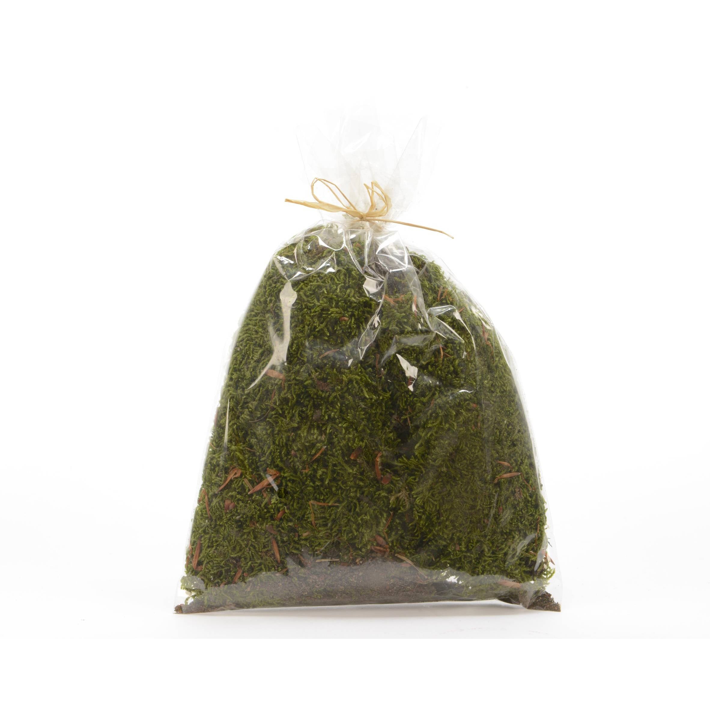 Muschio in busta Santaland Kaemingk