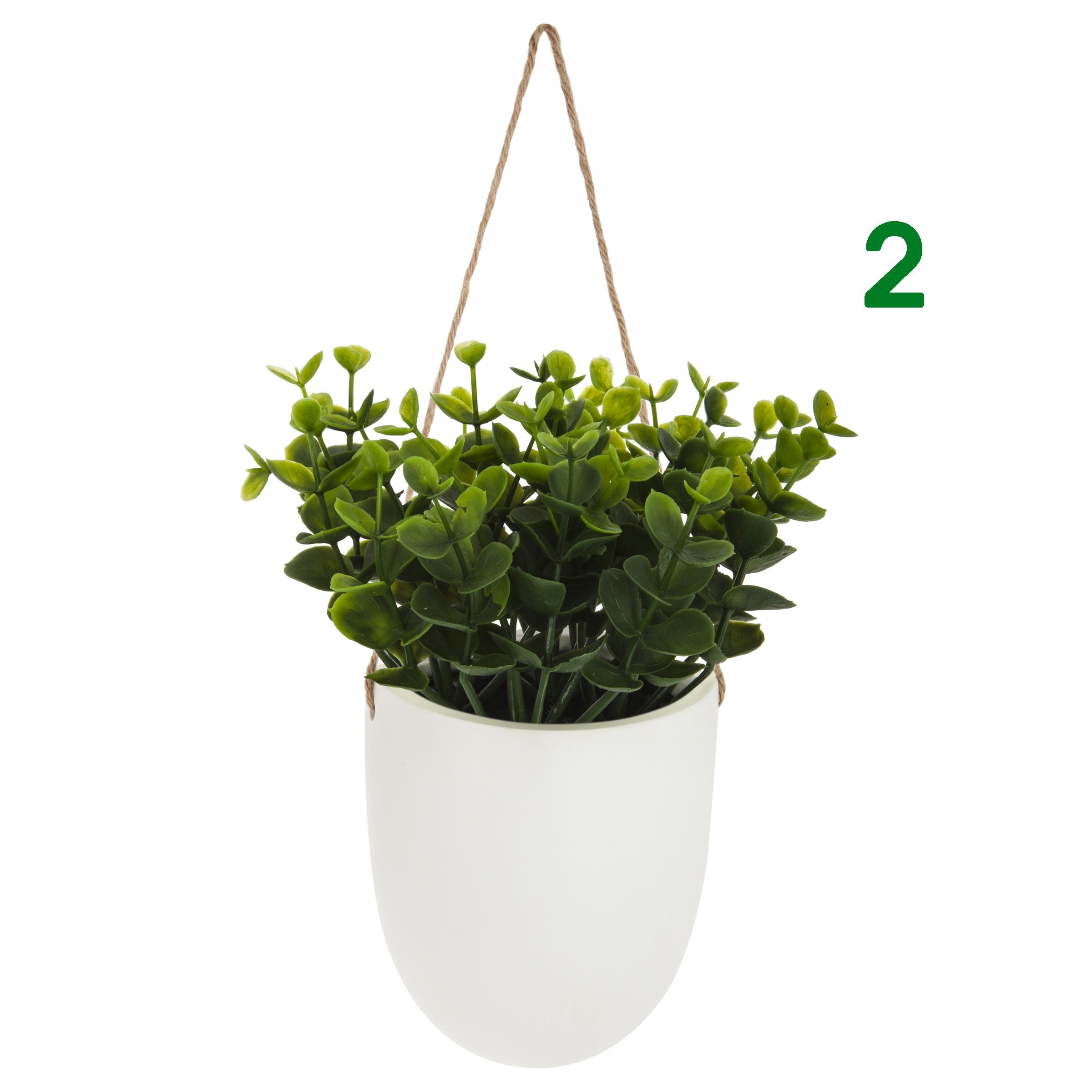 Piantina con vaso sospeso 3