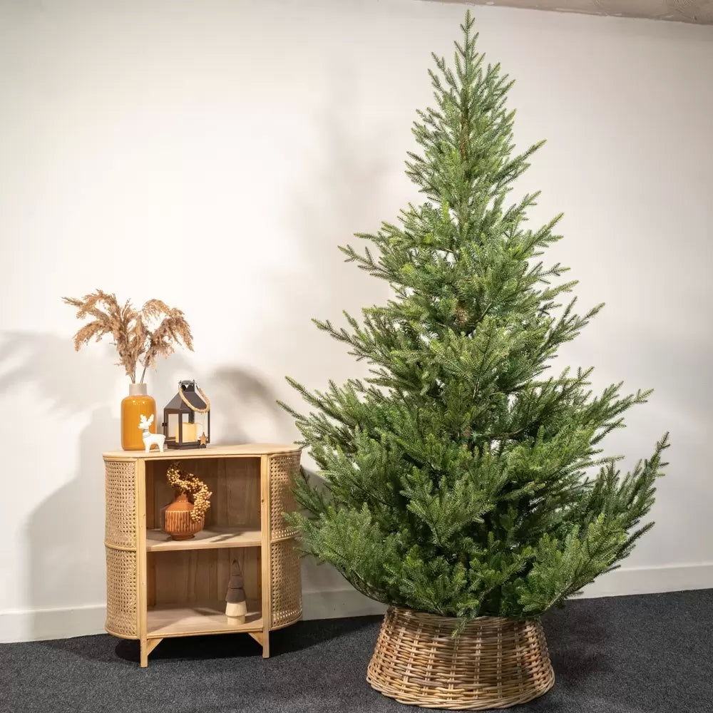 Albero di natale Norway