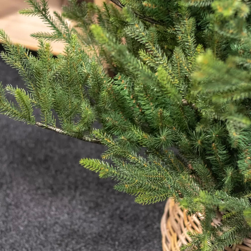 Albero di natale Norway 3