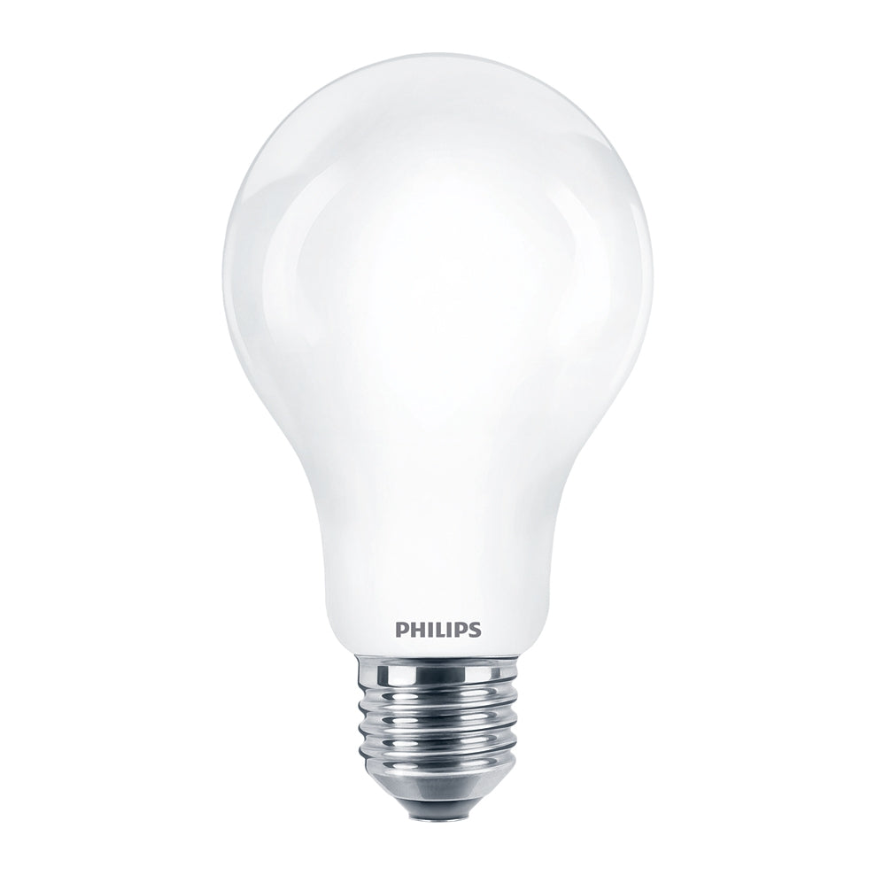 Lampadina LED Philips 150W E27