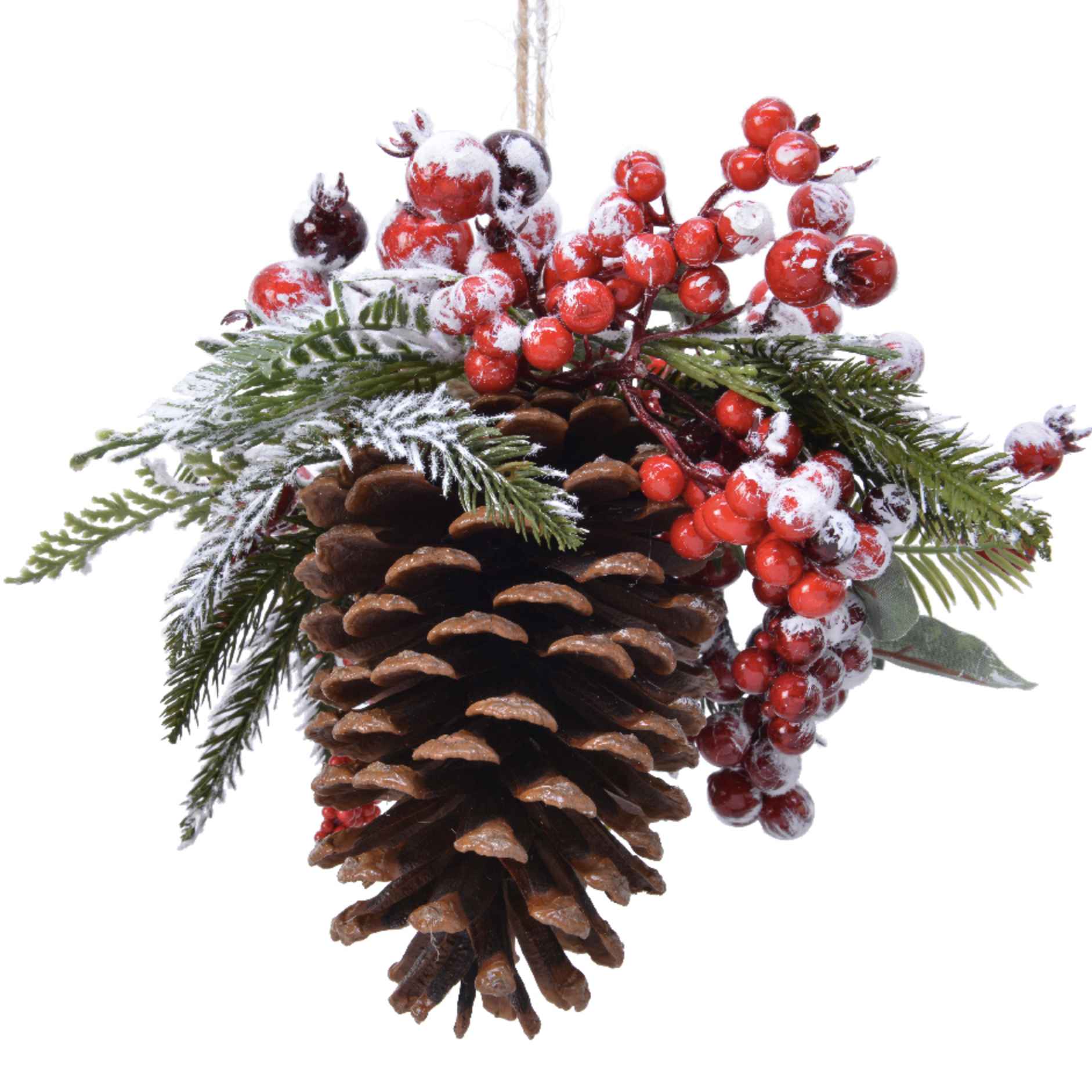 Pigna con bacche rosse innevata