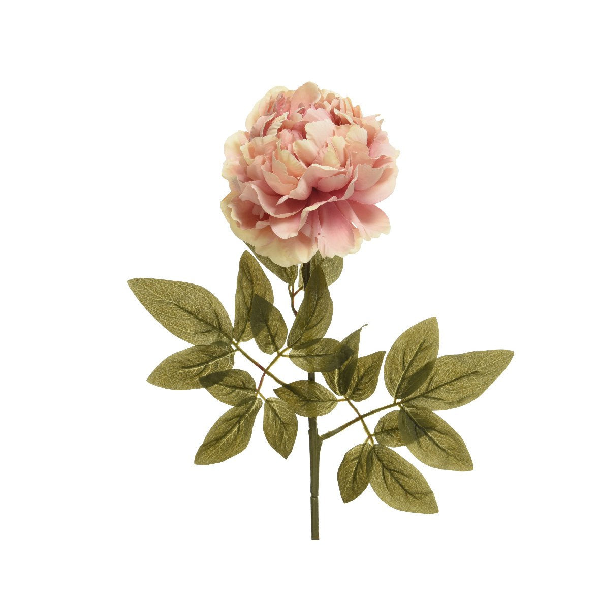 Fiore Peonia 72 centimetri rosa