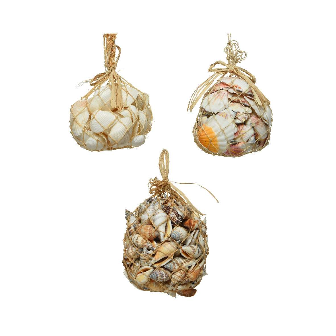 Conchiglie decorative 11x10x13 cm