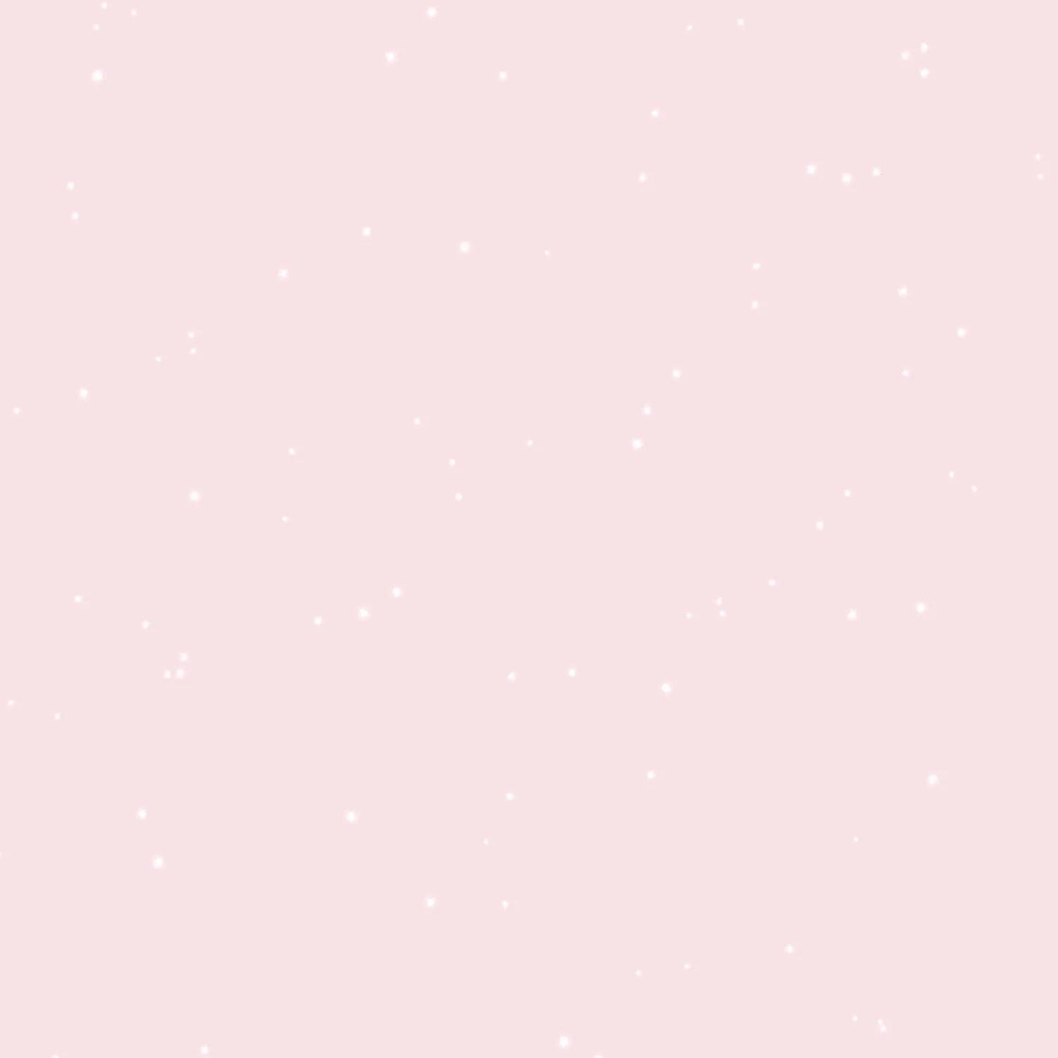 Idropittura Paillet 2 litri 3