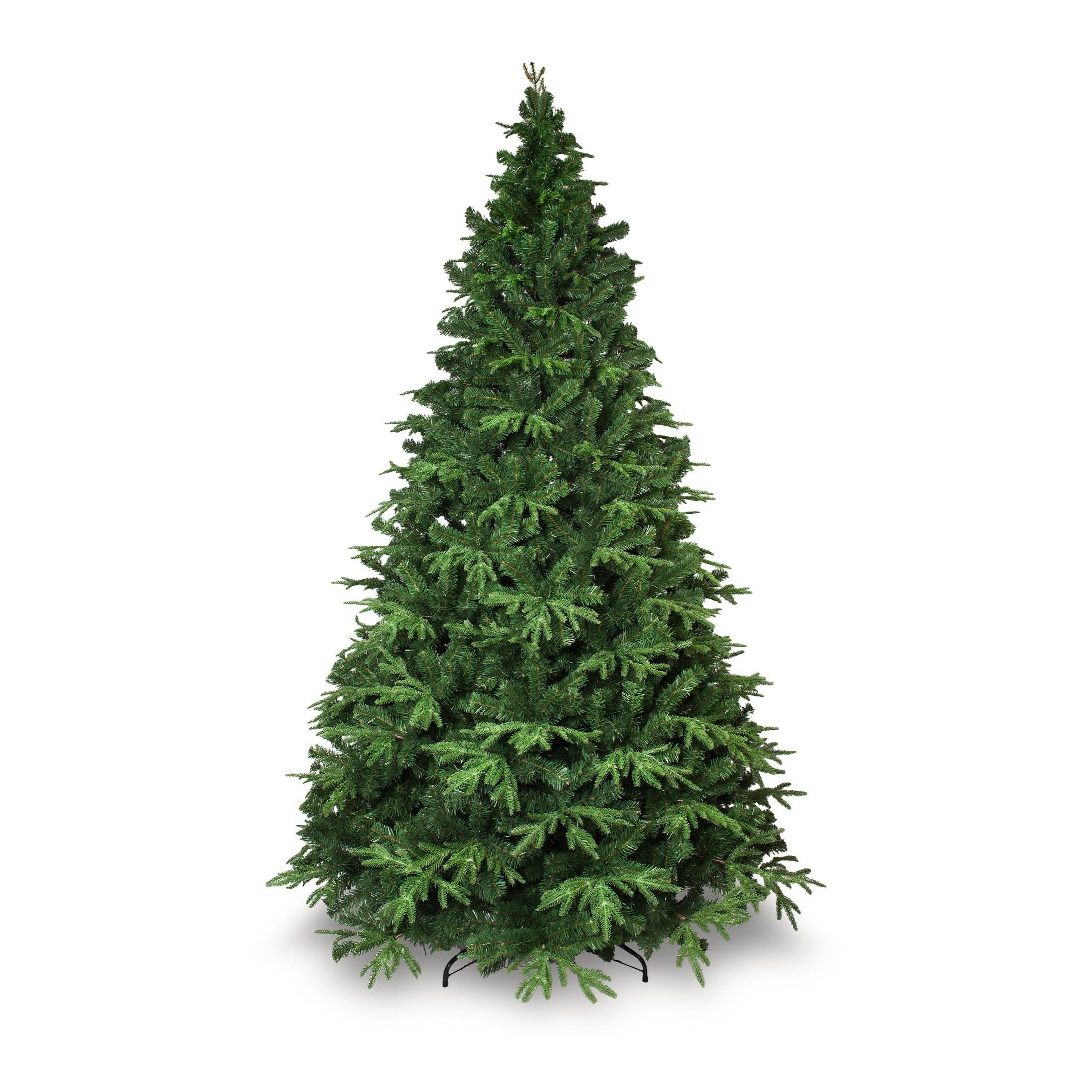 Albero verde toronto Mercury