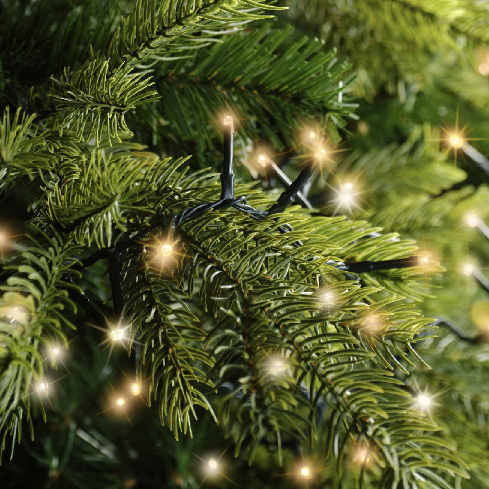 Luci LED Natalizie 8 funzioni scintillante