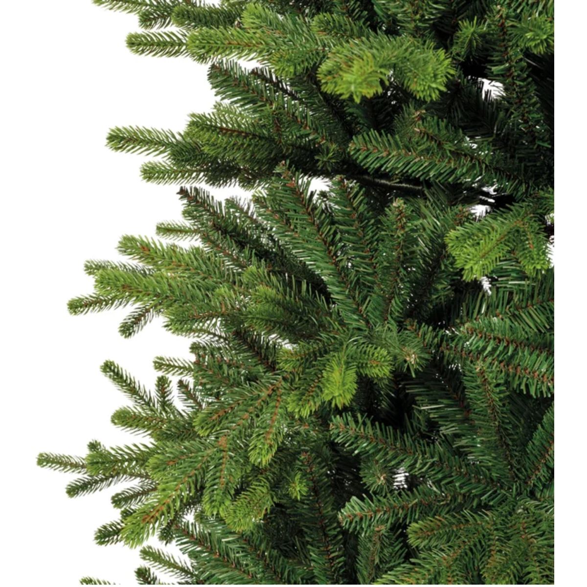Albero di Natale Greenland Fir Verde 3