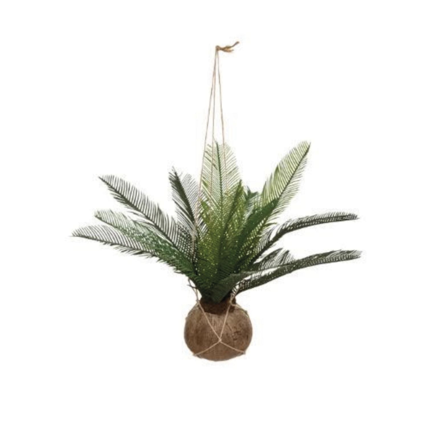 Palma Artificiale in Vaso di Cocco H50 cm ‚Äì Design Tropicale