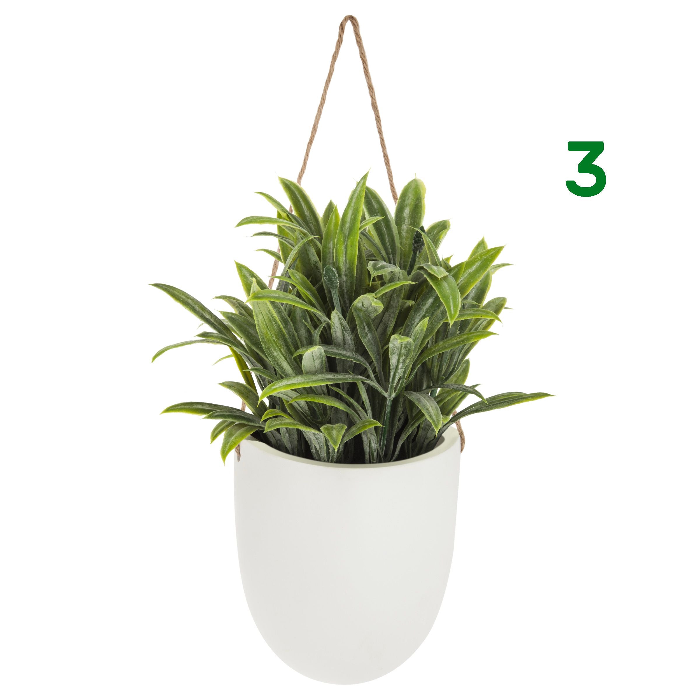 Piantina con vaso sospeso 4