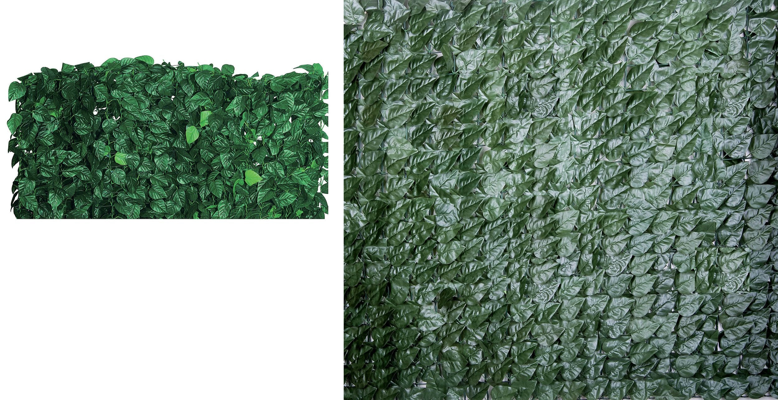 SIEPE DI LAURO 3X1,5 M1800 FOGLIE COLORE VERDE