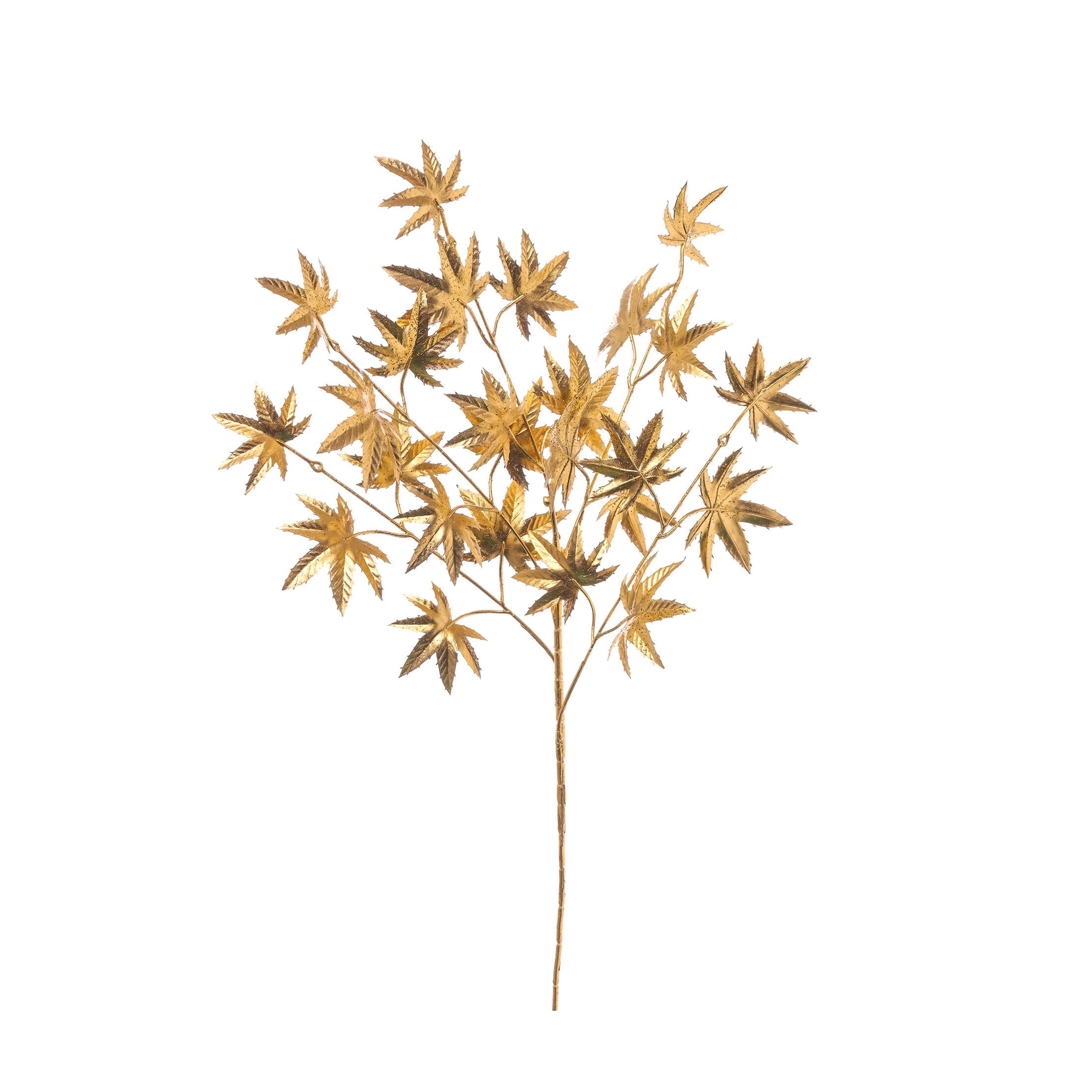 Ramo acero Gold 71 cm