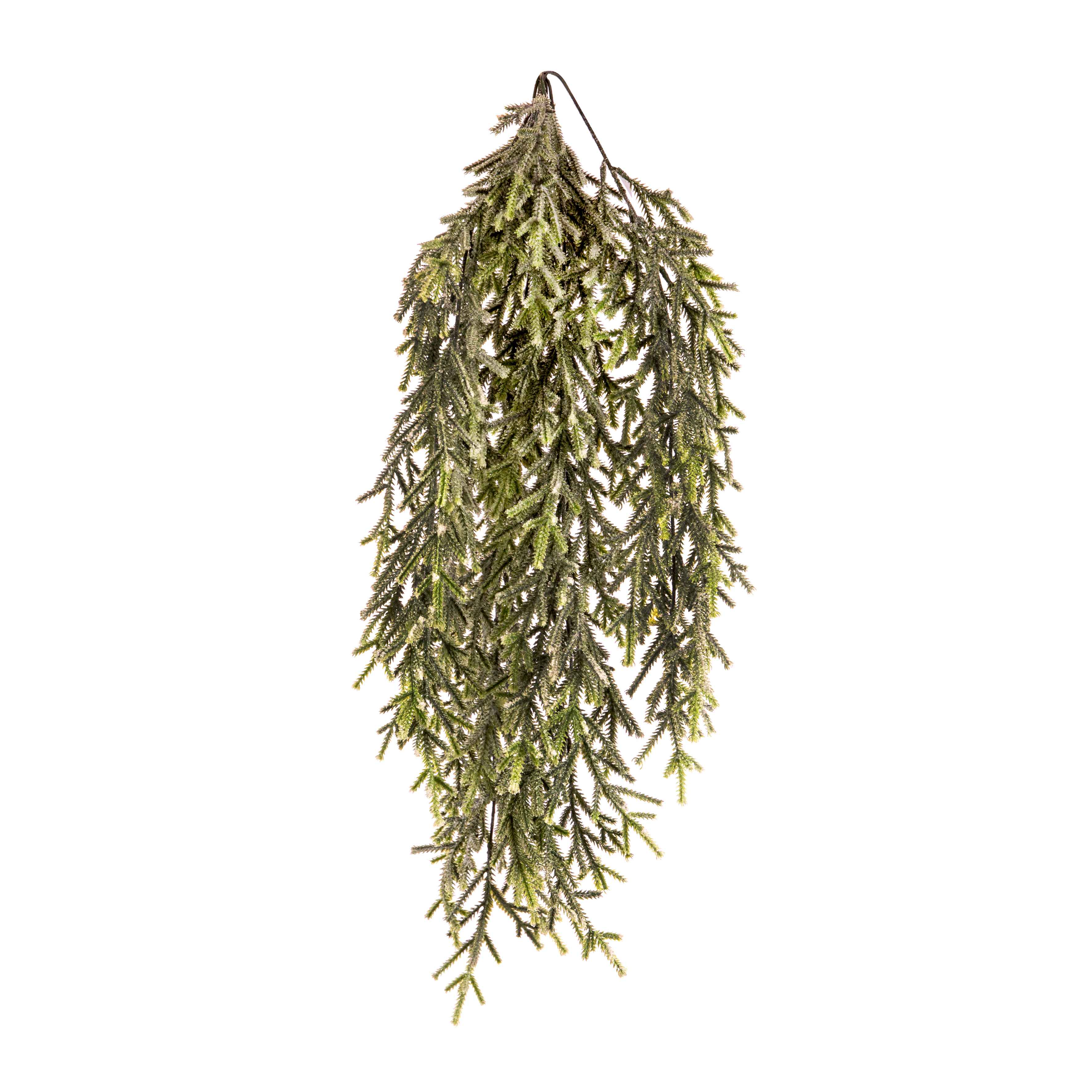 Cadente santolina floccata 71 cm