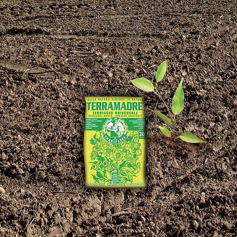 Terriccio universale Terra madre piante verdi 20 LT
