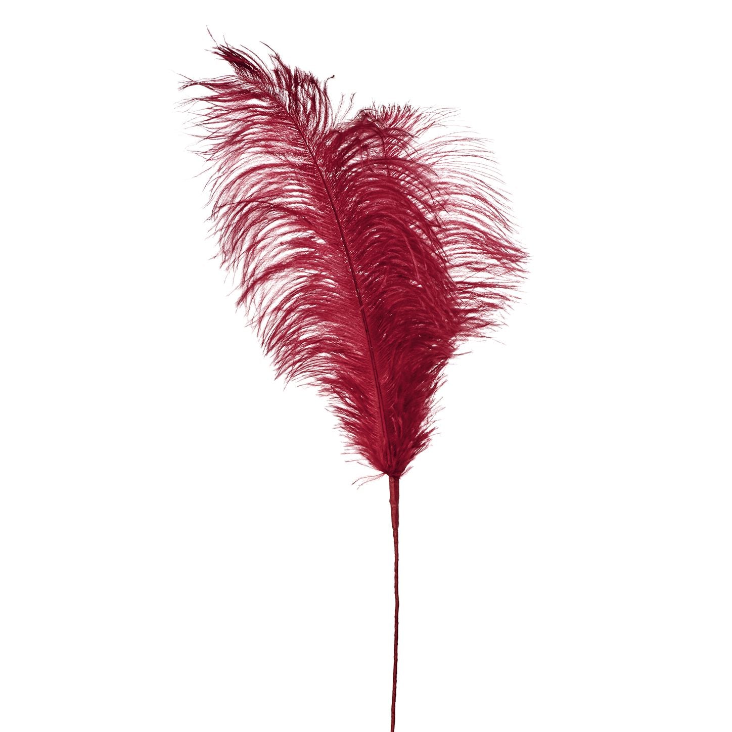 PIUMA DECORATIVA ROSSA GOODWILL