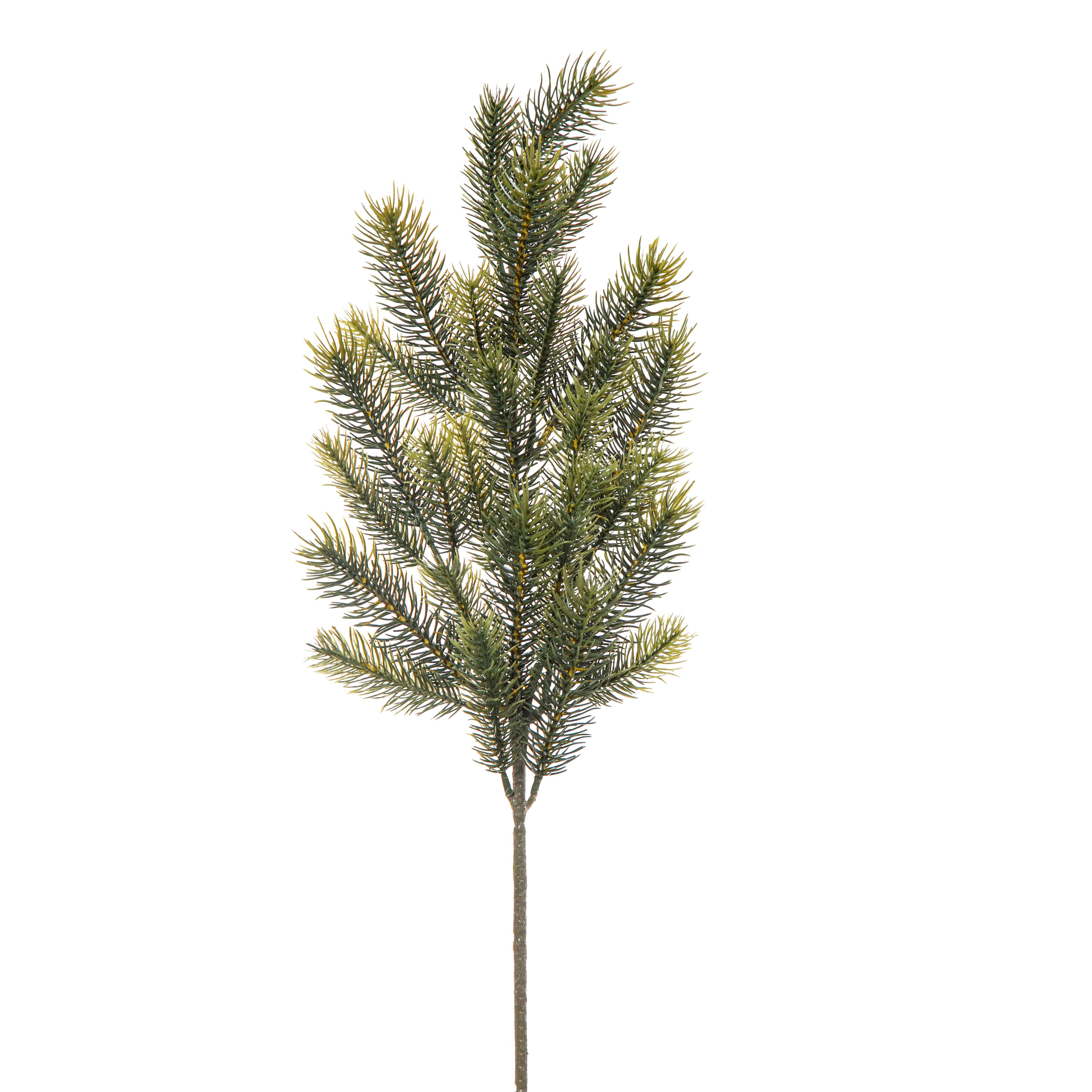 Rametto pino 65 cm